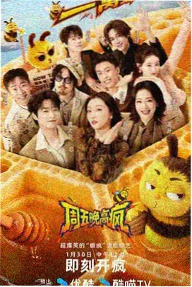 综艺节目 在线观看